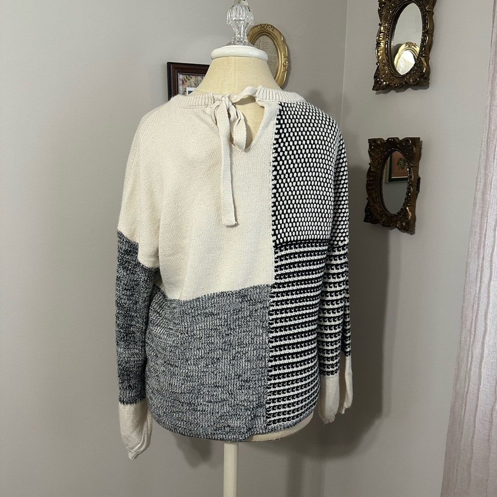 Color Block Crew Neck Sweater - Picture 4 of 5